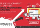 Local SEO Services Designed for High-Converting Leads