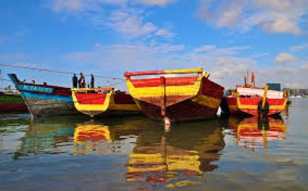 Shikara ride Alleppey