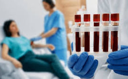 Understanding Blood Tests: A Window Into Your Health