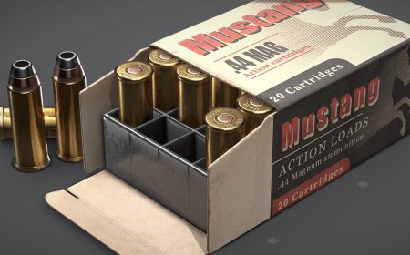 Custom Ammo Boxes: Tailored Packaging Solutions for Ammo Safety