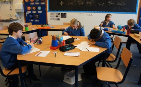 What Are the Key Trends in British Business Education and How Are They Evolving?