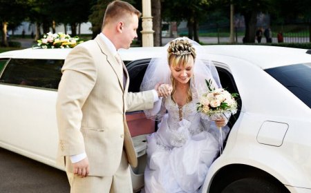 Wedding Transportation Service in Schaumburg