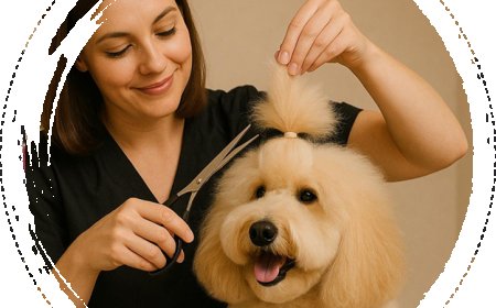 Why Choosing Professional Grooming Matters: The Secret to Happy, Healthy Pets in San Diego
