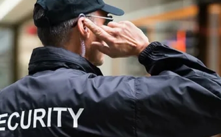 Trusted Protection at Every Step: Central Protection Services in Alberta
