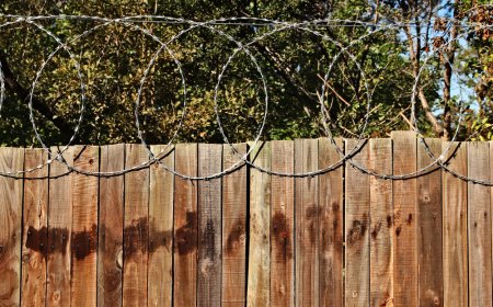Gulf Breeze Fencing Experts Share Tips for Long-Lasting Fences