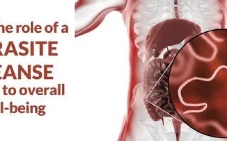 Mold Specialist Austin: What to Expect in Inspection