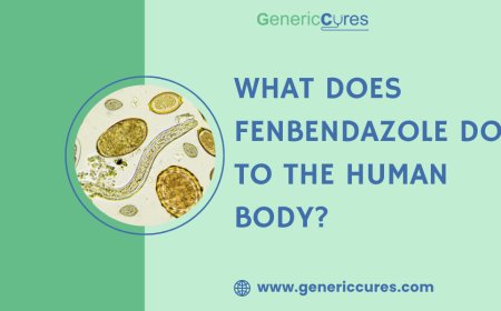 What Does Fenbendazole Do to the Human Body?