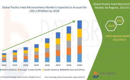 Poultry Feed Micronutrients Market: Key Trends and Future Growth Forecast to 2029