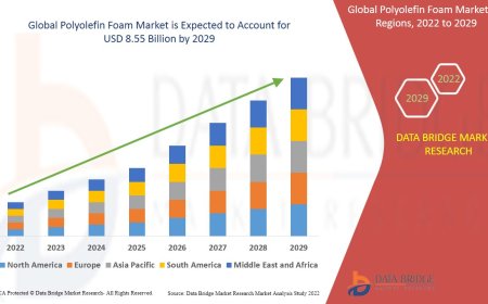 Polyolefin Foam Market: Trends and Growth Opportunities