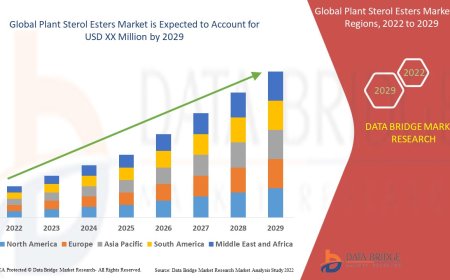 Plant Sterol Esters Market Overview: Key Drivers and Challenges