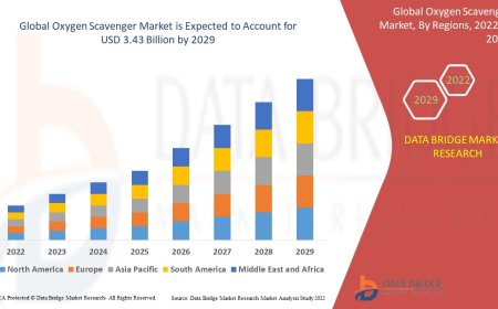 Oxygen Scavenger Market Dynamics: Key Drivers and Restraints