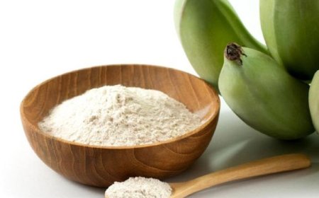 Setup Report on Banana Powder Manufacturing Plant- Detailed Process Flow