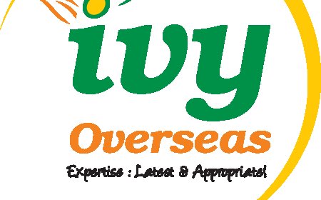 Best consultancy for Germany in Hyderabad