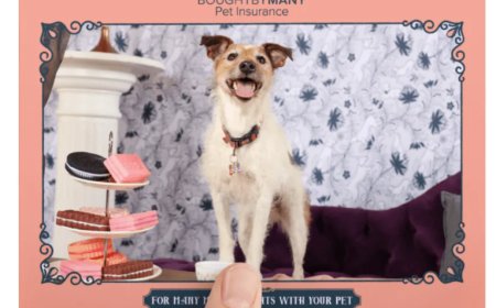 Maximizing Brand Engagement Through Photo Activation Marketing