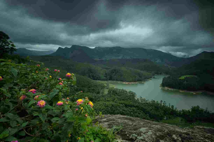 Best Kerala Resorts for a Luxurious Summer Vacation by the Sea