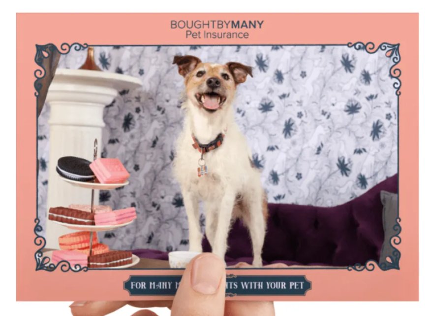 Maximizing Brand Engagement Through Photo Activation Marketing