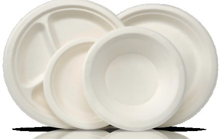 Disposable Bowls and Plates Wholesale: The Ultimate Guide for Bulk Buyers