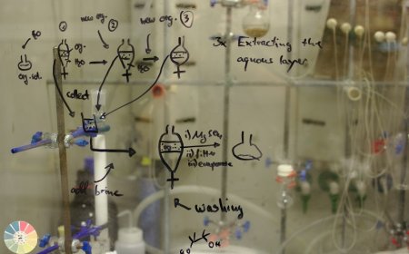 Exploring the Potential of Plant-Derived Exosomes in Biotechnology