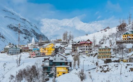 The Allure of Shimla: Where Mountains Meet History