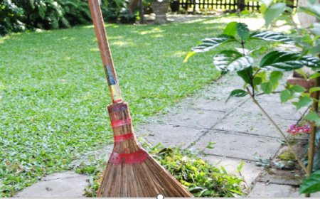 Don’t Let Your Garden Get Out of Hand: Simple Help Is Here with Garden Clean Up Services in Sydney