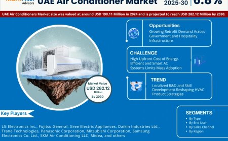 UAE Air Conditioner Market Size, Share, Demand, Forecast, Report 2025-2030