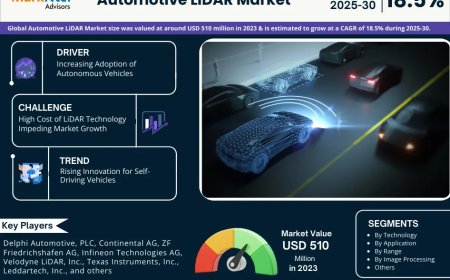 Global Automotive LiDAR Market Size, Share, Growth Report 2030