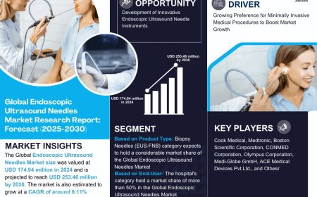Global Endoscopic Ultrasound Needles Market Size, Share, Demand, Forecast, Report 2025-2030