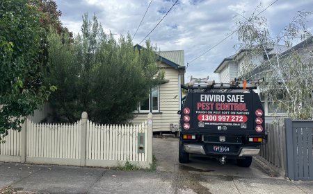 Safeguard Your Home: Trusted Pest Control Solutions Across Melbourne