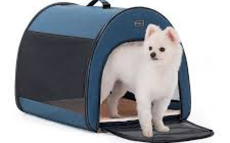 The Ultimate Guide to Choosing the Right Dog Carrier for Your Pet