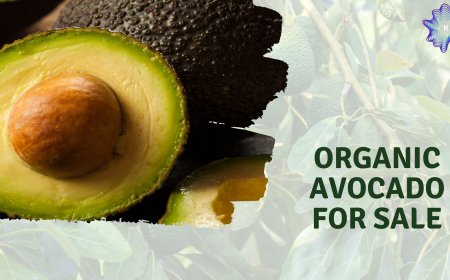 Best Organic Avocado for Sale Online in Australia