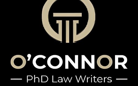 Top Law Essay Help Service