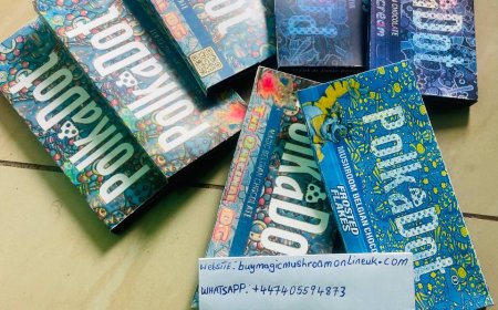 THE IMPORTANT OF MAGIC MUSHROOM CHOCOLATE BAR TO ANXIETY