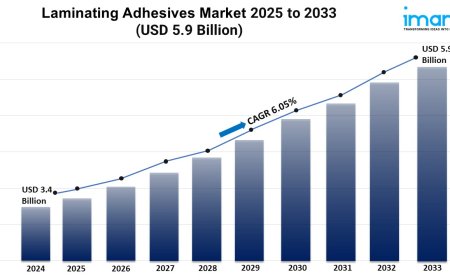 Laminating Adhesives Market Size, Growth, and Trends Report 2025-2033
