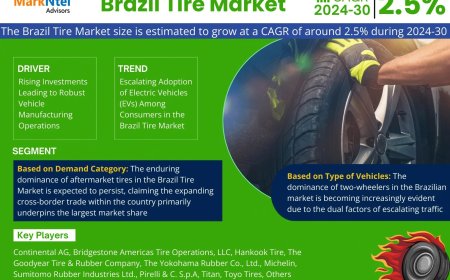Brazil Tire Industry Report 2024–2030: Growth, Trends & Key Players