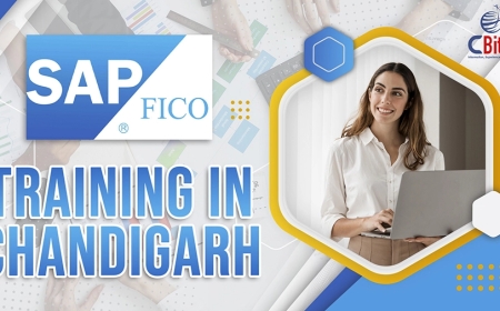 Advance Your Financial Career with Enterprise ERP Expertise