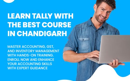 Build a Strong Accounting Foundation with Practical Software Skills