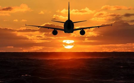 Frontier Airlines Office in Raleigh : Everything You Need to Know