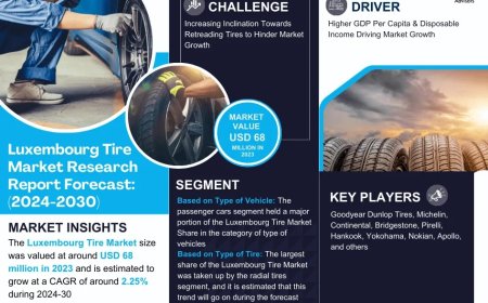 Luxembourg Tire Industry Report 2024–2030: Growth, Trends & Key Players