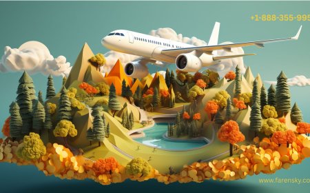 How Do I Talk To A Human At Norse? Just a call away!