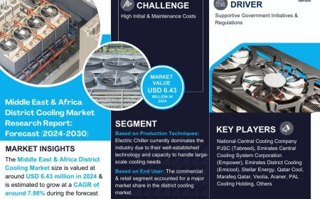 Middle East & Africa District Cooling Industry Report 2024–2030: Growth, Trends & Key Players