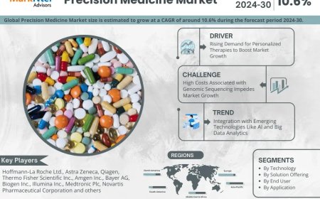 Precision Medicine Industry Report 2024–2030: Growth, Trends & Key Players