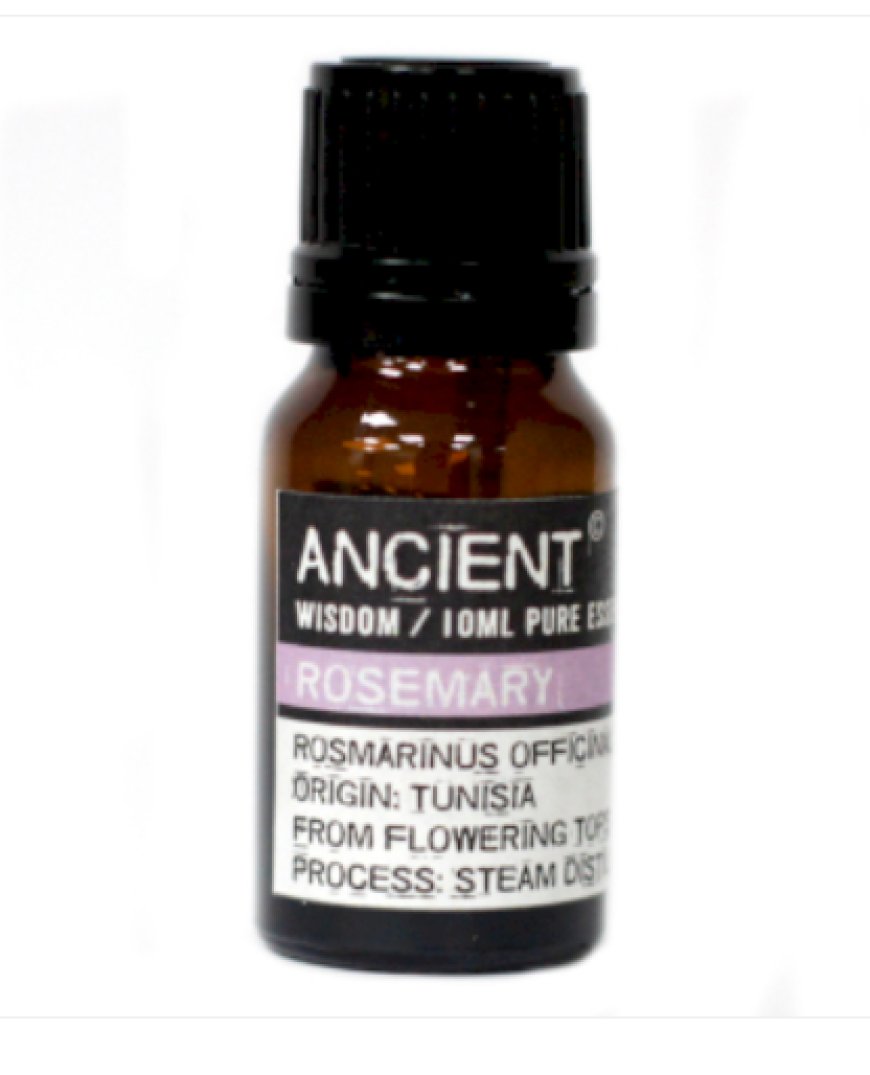 Unlocking the Natural Power of Rosemary Oil: A Complete Guide to Its Benefits and Uses