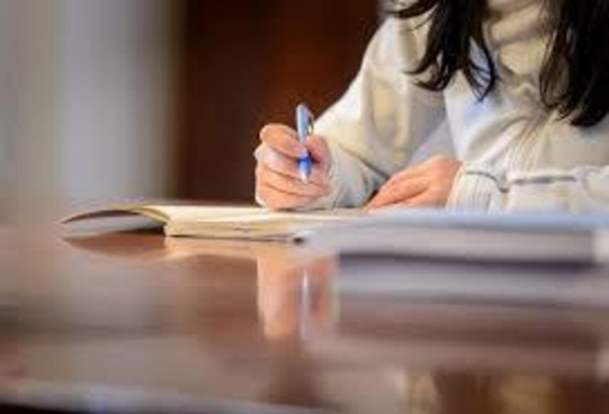 Charting Success: How Professional Writing Support Elevates BSN Education