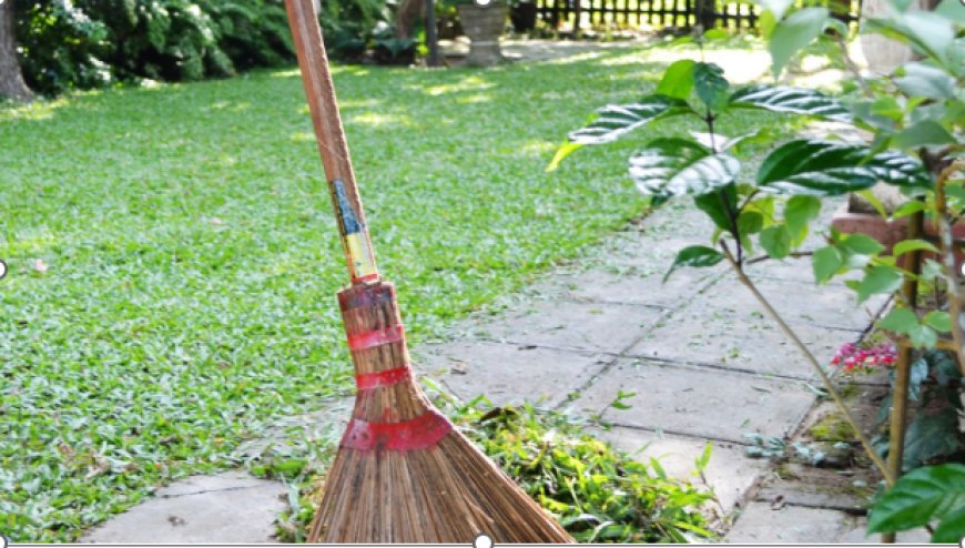 Don’t Let Your Garden Get Out of Hand: Simple Help Is Here with Garden Clean Up Services in Sydney