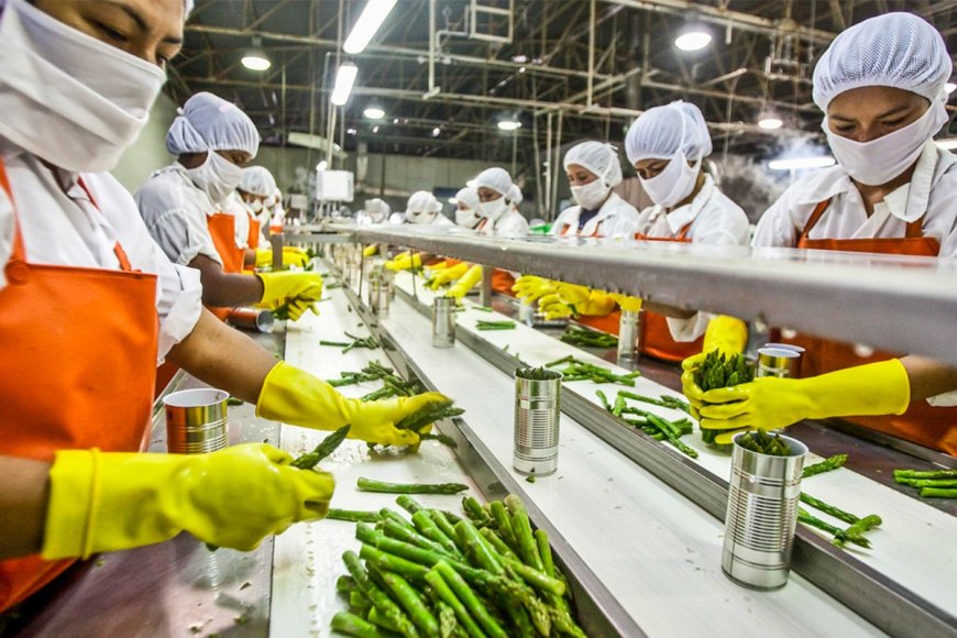 Food Processing Plant Project Report | Setup Cost and Raw Materials