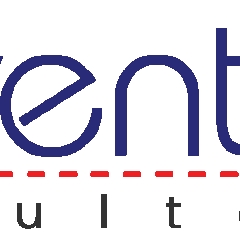 edventureconsultancy